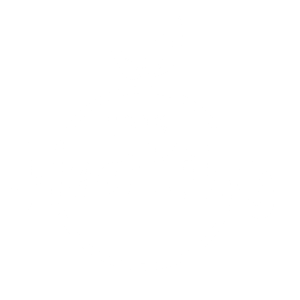 Fruit Juice Concentrates & Pulps Manufacturer | BronPro South Africa