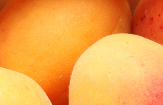 Apricot Puree Concentrate