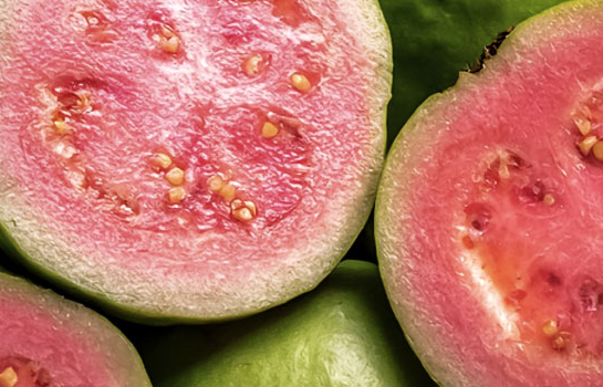 Guava