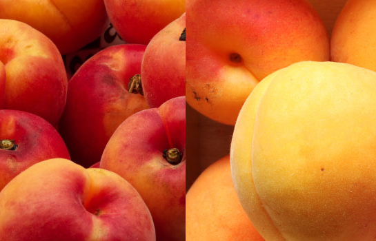 Peach/Apricot