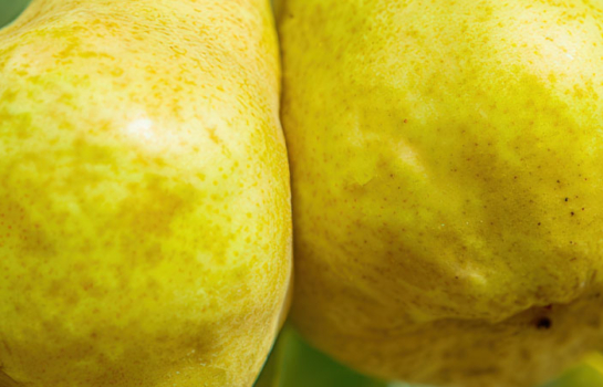 Pear Juice Concentrate 70 Brix